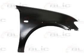 Крило переднє Крило переднє