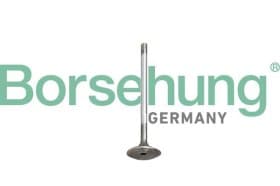 Впускний клапан Впускний клапан