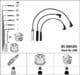 2996 NGK Комплект дротів запалювання
