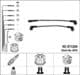 9076 NGK Комплект дротів запалювання