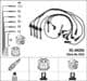 0524 NGK Комплект дротів запалювання