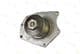 D1Y015TT Thermotec Помпа