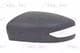 6103162001951P BLIC Корпус зеркала для Nissan Pulsar