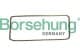 b1c029 Borsehung Ланцюг ГРМ