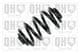 QCS6024 Quinton Hazell Пружина підвіски для BMW X3