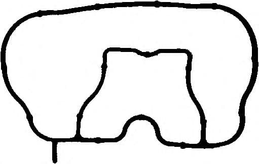 025.250 Elring Прокладка впускного колектора