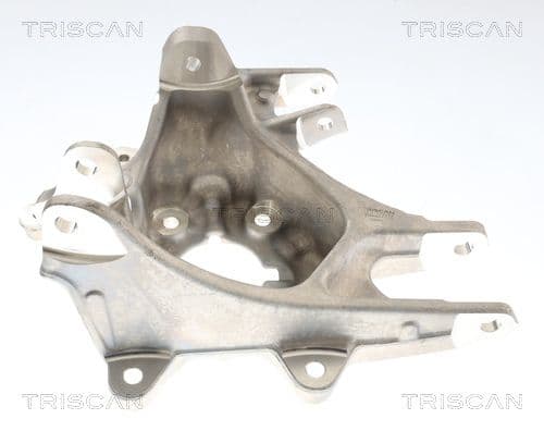 850081713 Triscan Поворотний кулак для Tesla Model S