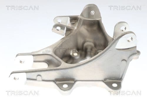 850081714 Triscan Поворотний кулак для Tesla Model S