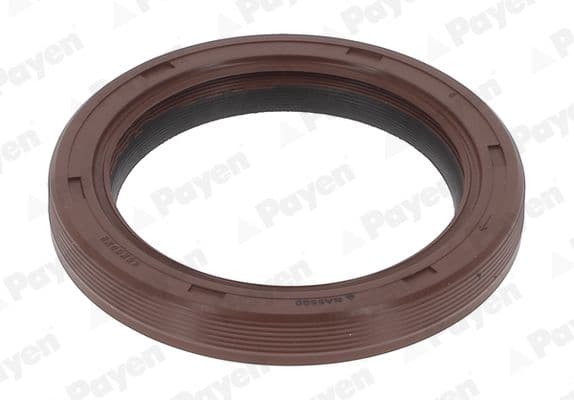 na5500 Payen Сальник коленвала