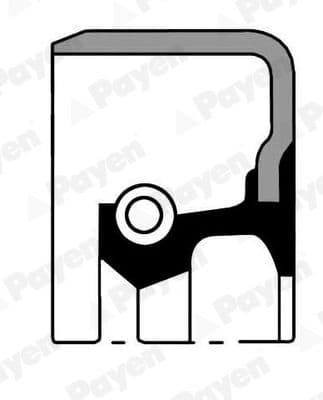 NJ794 Payen Сальник первичного вала