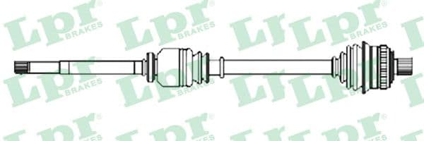 DS52562 LPR Піввісь