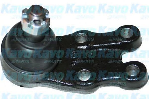 SBJ-3021 Kavo Parts Шарова опора