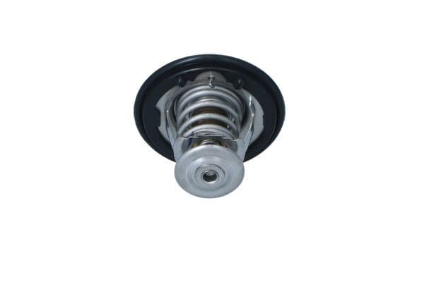 725152 NRF Термостат