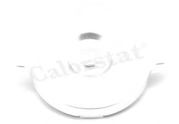 RC0053 Calorstat by Vernet Кришка радіатора для Peugeot 305