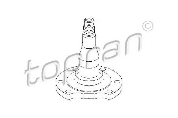 111 407 Topran Ступица колеса