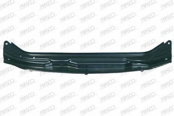 RN9163201 Prasco Передняя панель кузова для Renault Kangoo