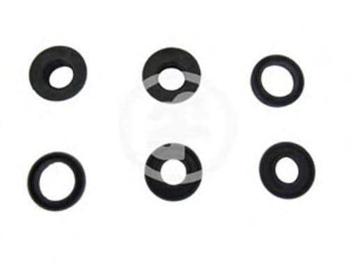 D1851 Autofren Seinsa Ремкомплект главного тормозного цилиндра для Nissan Patrol