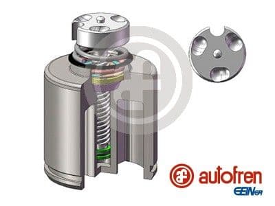 d025627rk Autofren Seinsa Поршень гальмівного супорта