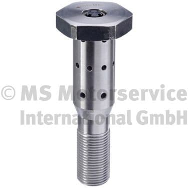 50056015 Kolbenschmidt Центральный клапан шестерни распредвала