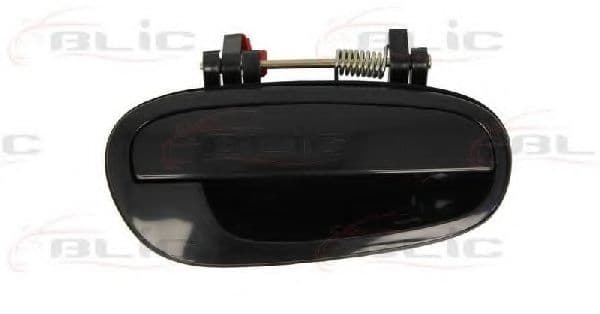 6010-56-002404P BLIC Ручка двери