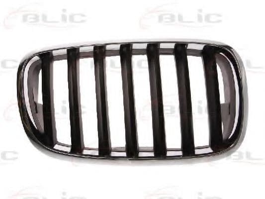 6502-07-0096992P BLIC Решітка радіатора