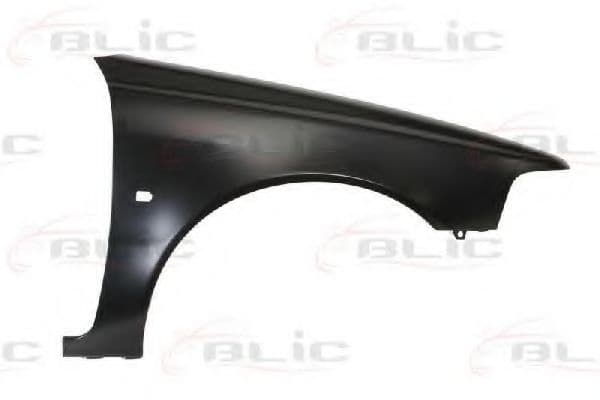 6504-04-9009314P BLIC Крило переднє