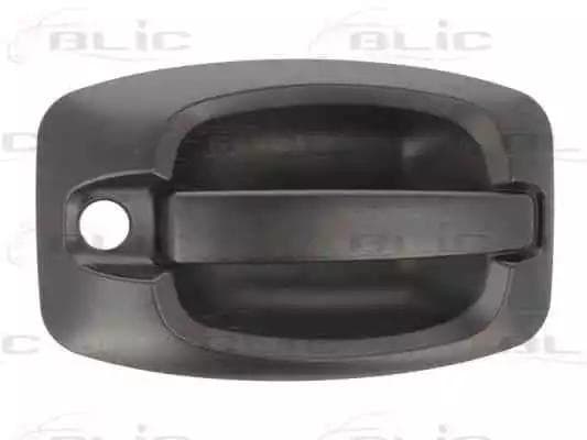 6010-07-038401P BLIC Ручка дверей