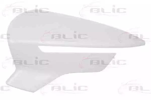 6103102002307P BLIC Корпус дзеркала
