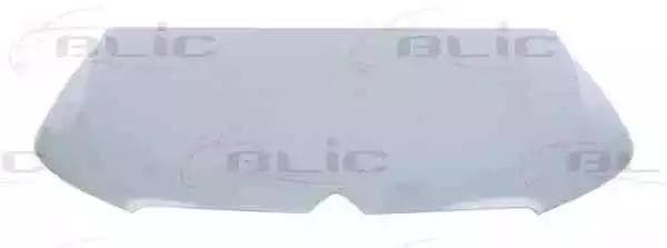 6803-00-0560280P BLIC Капот для Citroen C-Elysee