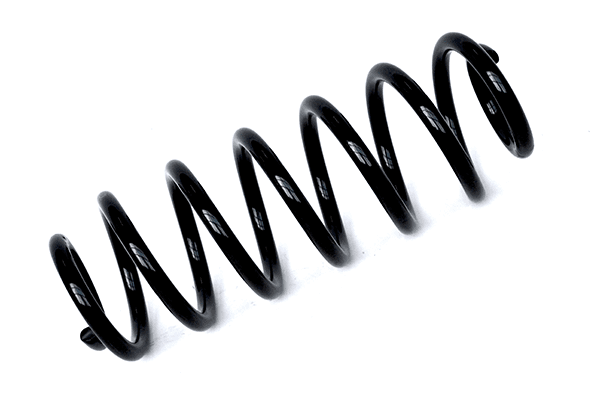 75955 Asam Пружина підвіски