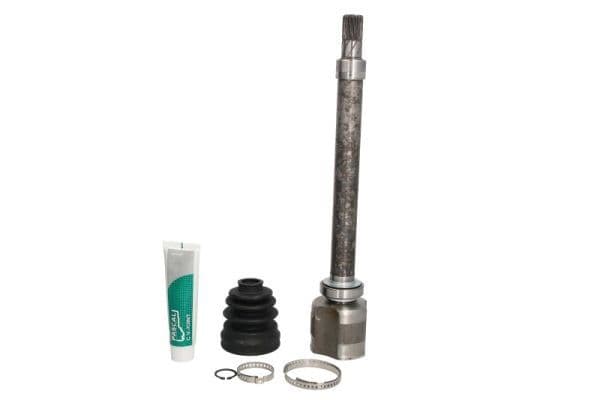 G8R003PC Pascal ШРУС