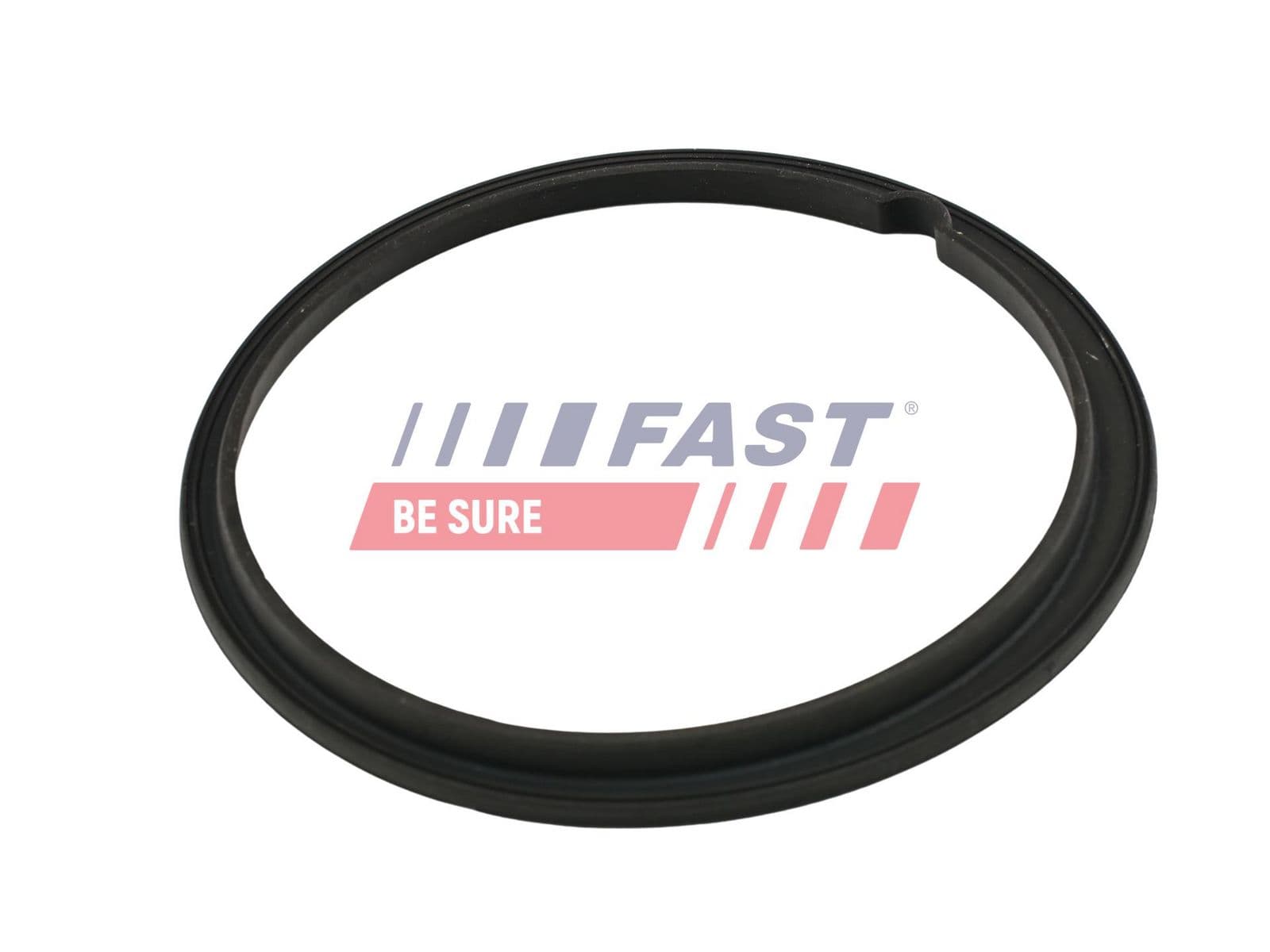 ft48502 Fast Прокладка паливного насоса