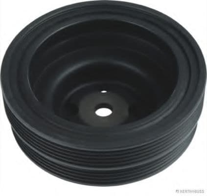 J1095003 Herth+Buss Шків колінчастого вала