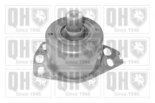 EM3147 Quinton Hazell Подушка двигуна