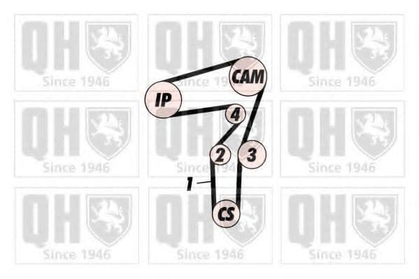 QBK794 Quinton Hazell Комплект ременя ГРМ