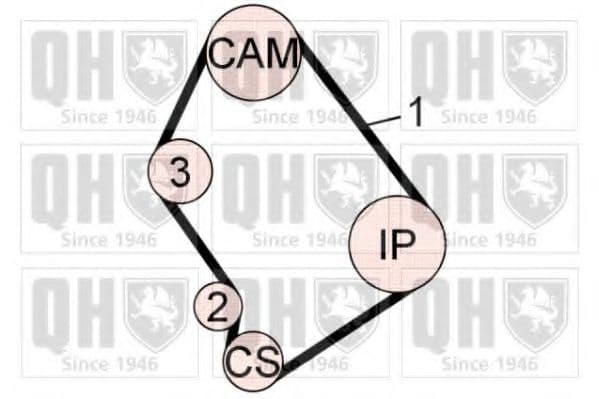 QBK602 Quinton Hazell Комплект ременя ГРМ