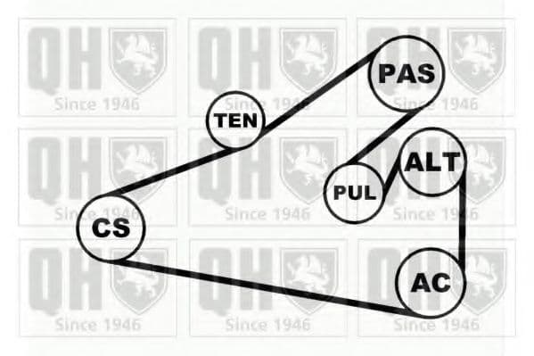 QDK34 Quinton Hazell Комплект поліклинового ременя