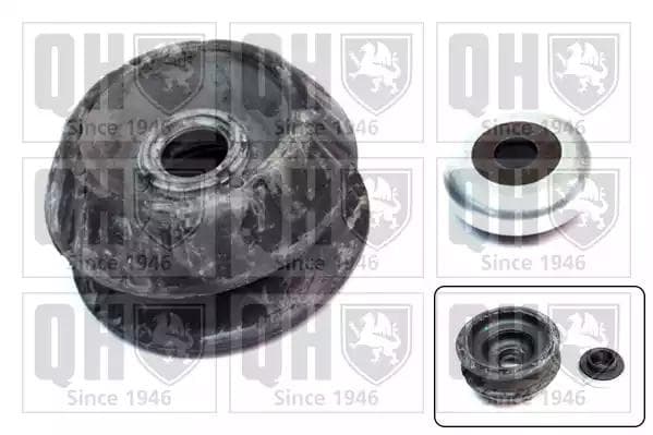 ema4979 Quinton Hazell Комплект (опора + підшипник)