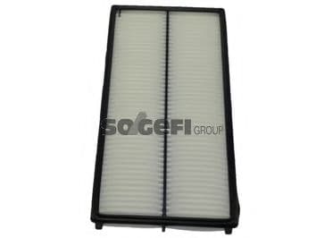 CA9019 FRAM Повітряний фільтр